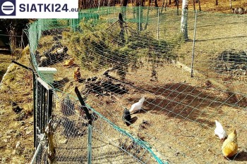 Siatki Józefów - Siatka na woliery - zabezpieczenia ptaków w hodowli dla terenów 